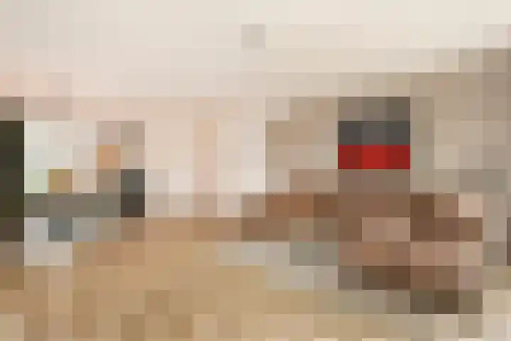 Dassenburcht 16 Vleuten thumbnail 11