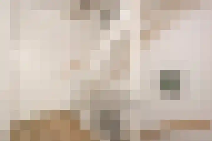 Dassenburcht 16 Vleuten thumbnail 16
