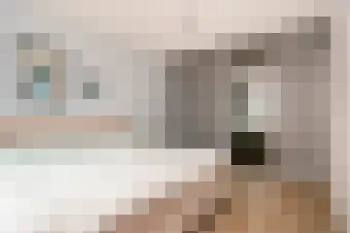 Dassenburcht 16 Vleuten thumbnail 18