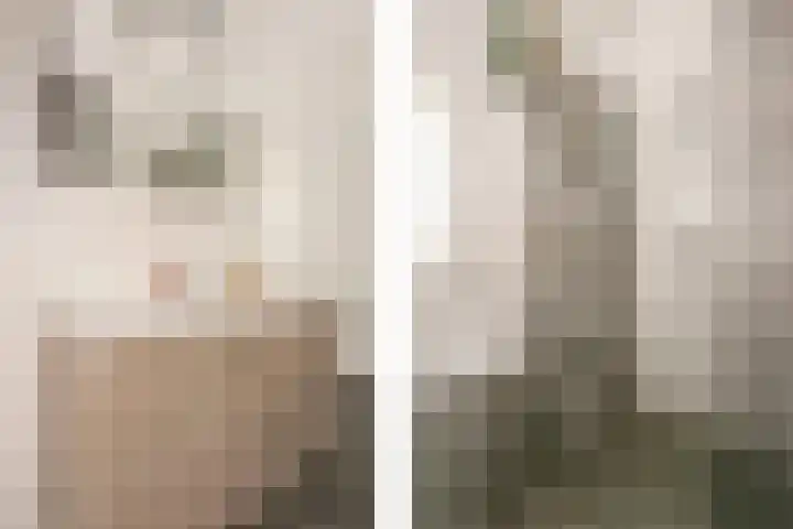 Dassenburcht 16 Vleuten thumbnail 23