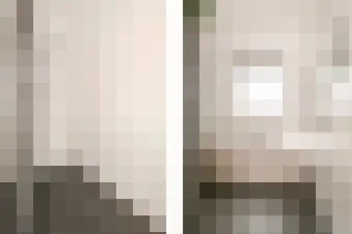 Dassenburcht 16 Vleuten thumbnail 29