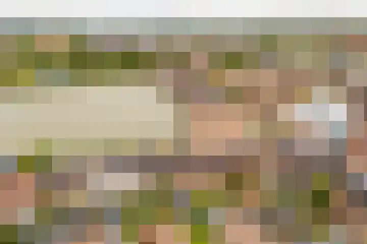 Dassenburcht 16 Vleuten thumbnail 35