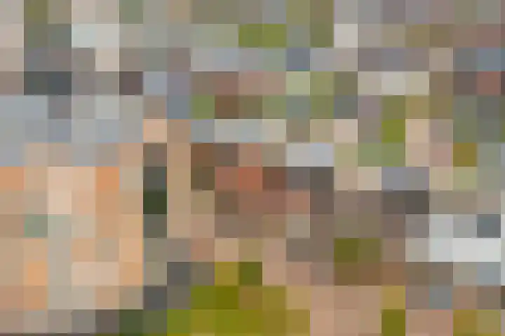Dassenburcht 16 Vleuten thumbnail 5