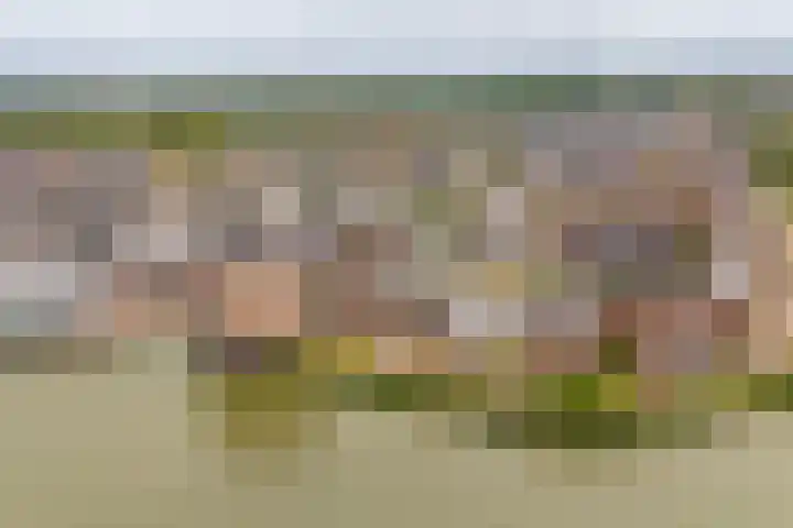 Dassenburcht 16 Vleuten thumbnail 6