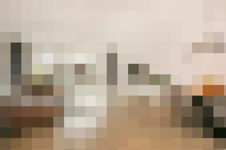 Dassenburcht 16 Vleuten thumbnail 9