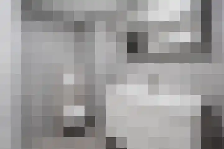 Dassenburcht 17 Cuijk thumbnail 22