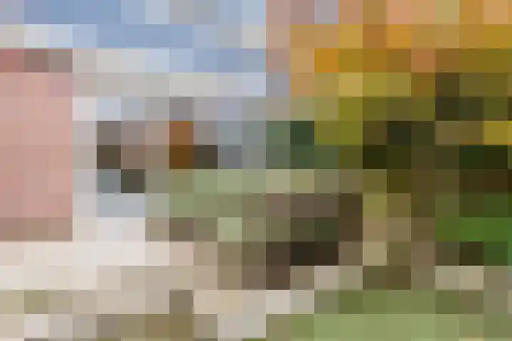 Dassenburcht 17 Cuijk thumbnail 26