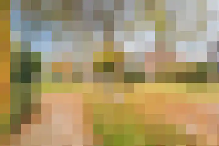 Dassenburcht 17 Cuijk thumbnail 29