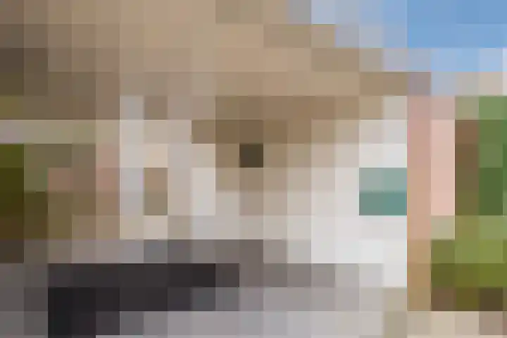 Dassenburcht 17 Cuijk thumbnail 5