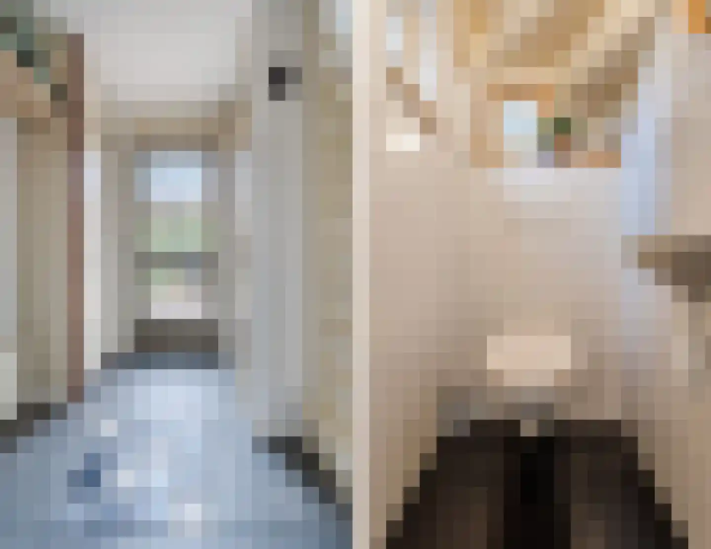 Dassenburcht 18 Cuijk thumbnail 13