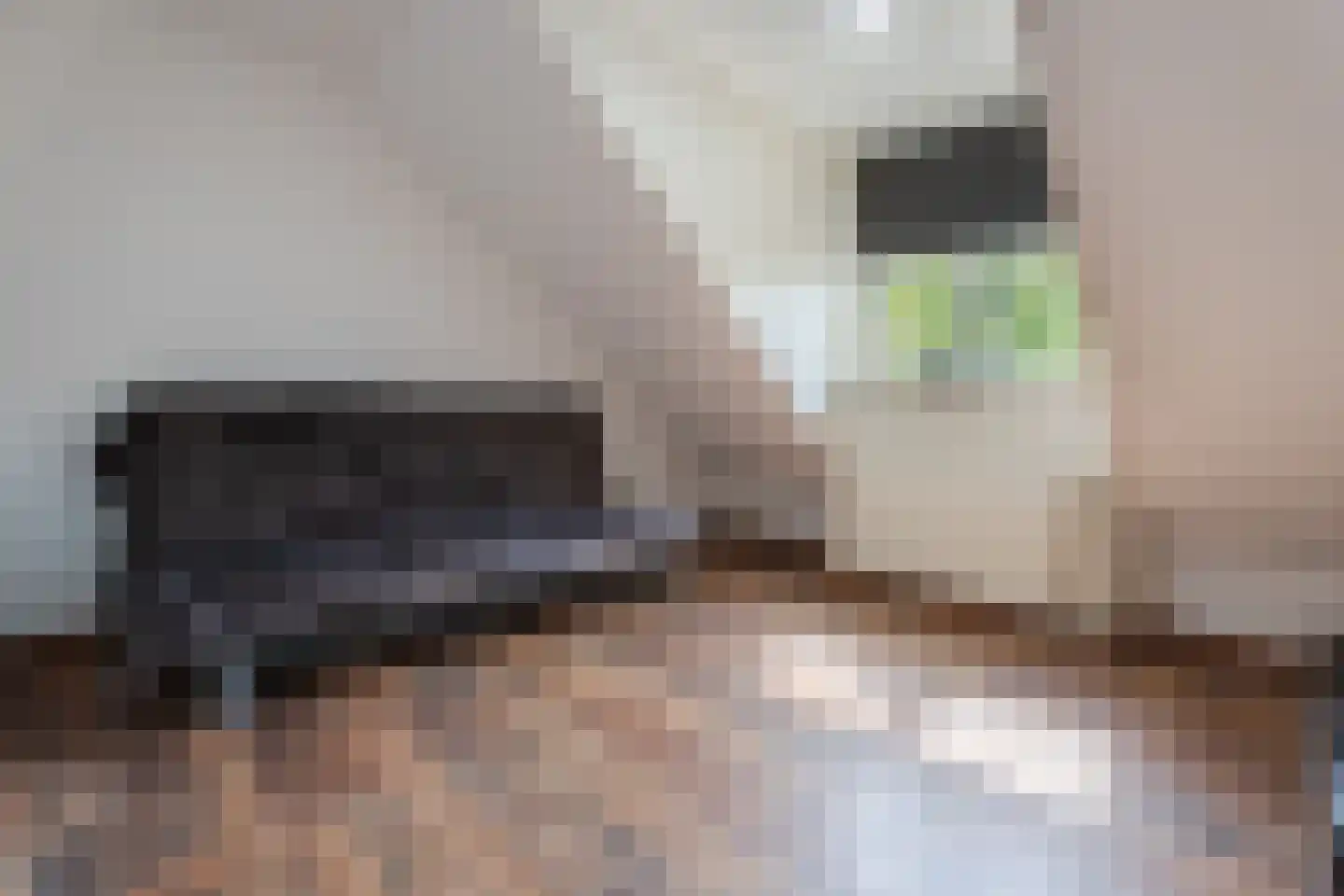Dassenburcht 18 Cuijk thumbnail 17