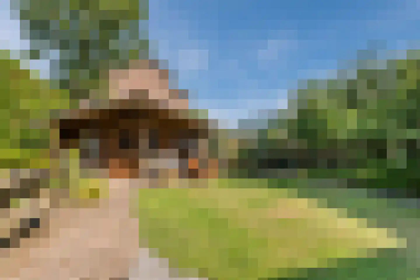 Dassenburcht 18 Cuijk foto 3