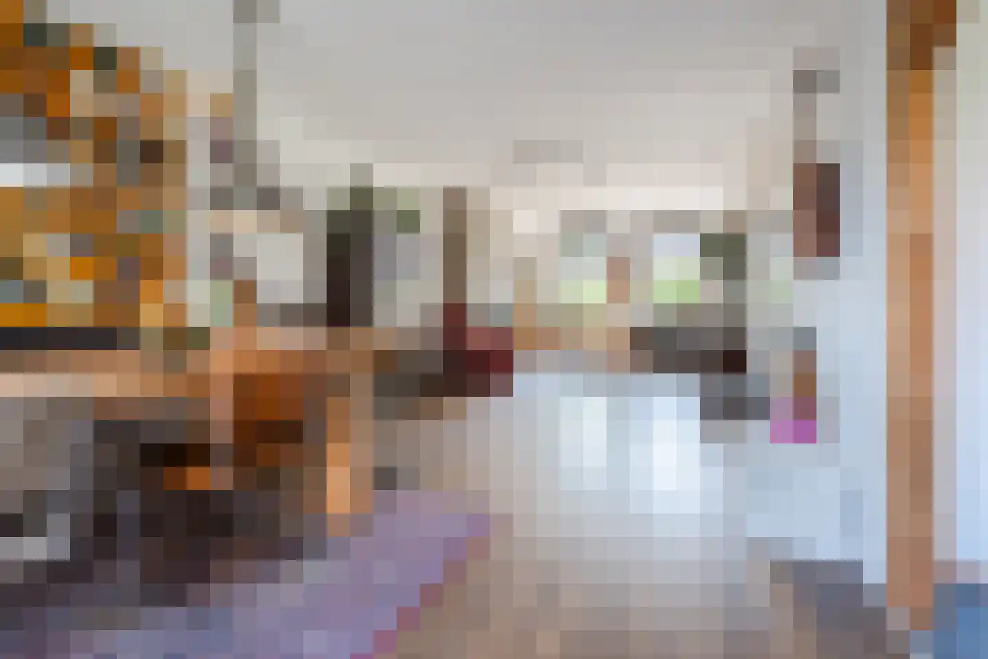 Dassenburcht 18 Cuijk thumbnail 9