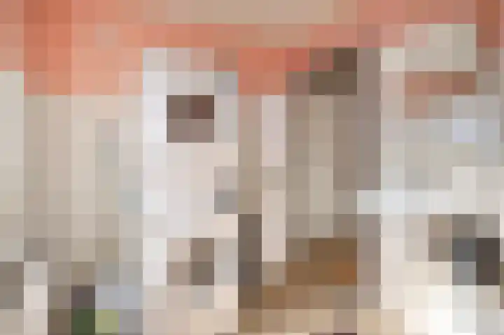 Dassenburcht 25 Beek thumbnail 22