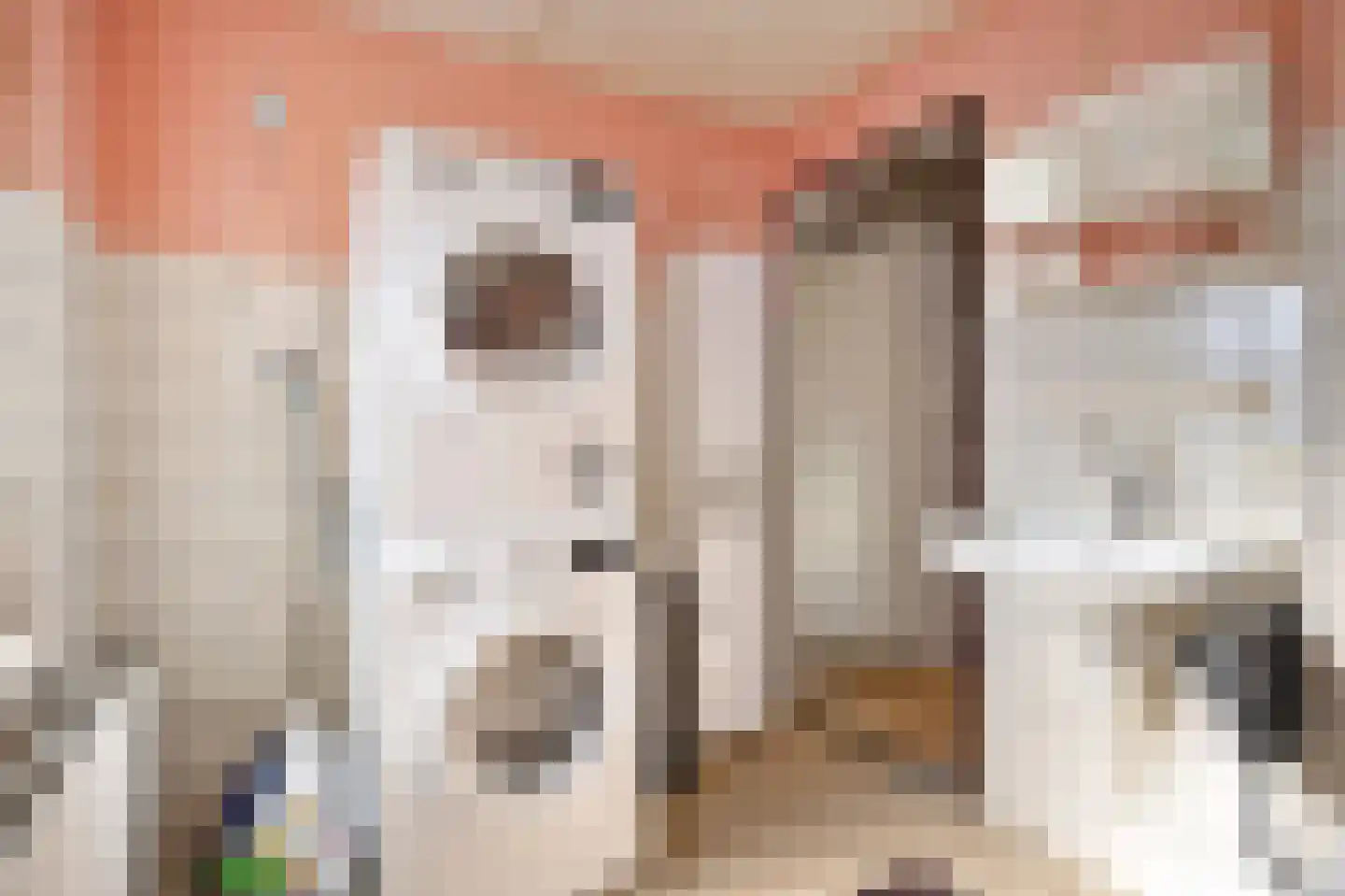 Dassenburcht 25 Beek thumbnail 22