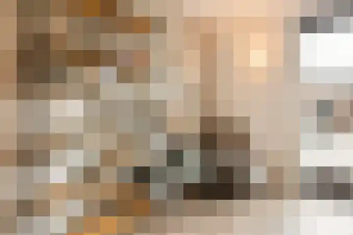 Dassenburcht 28 Vleuten thumbnail 10