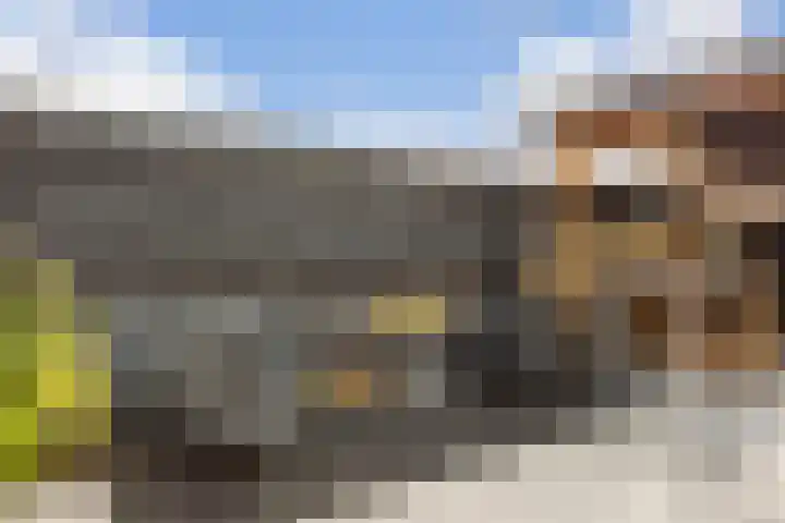 Dassenburcht 28 Vleuten thumbnail 16