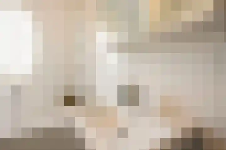 Dassenburcht 28 Vleuten thumbnail 23