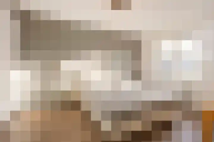 Dassenburcht 28 Vleuten thumbnail 25