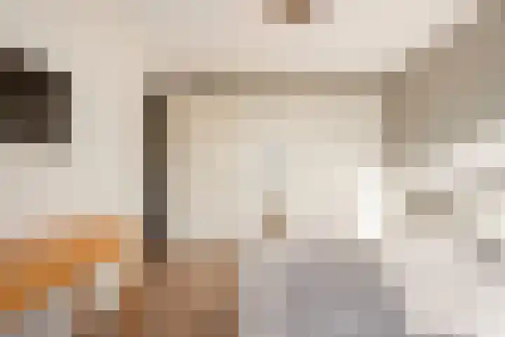 Dassenburcht 28 Vleuten thumbnail 26