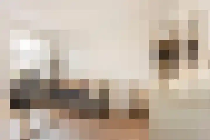 Dassenburcht 28 Vleuten thumbnail 28