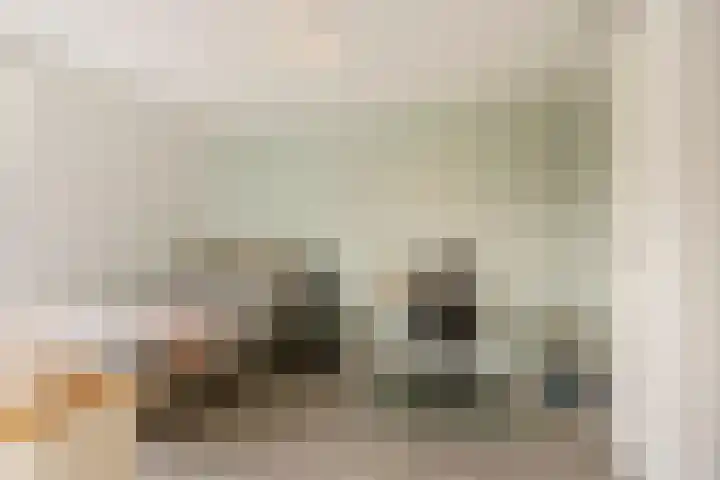 Dassenburcht 28 Vleuten thumbnail 35