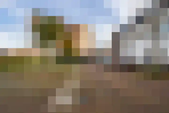 Dassenburcht 28 Vleuten thumbnail 39