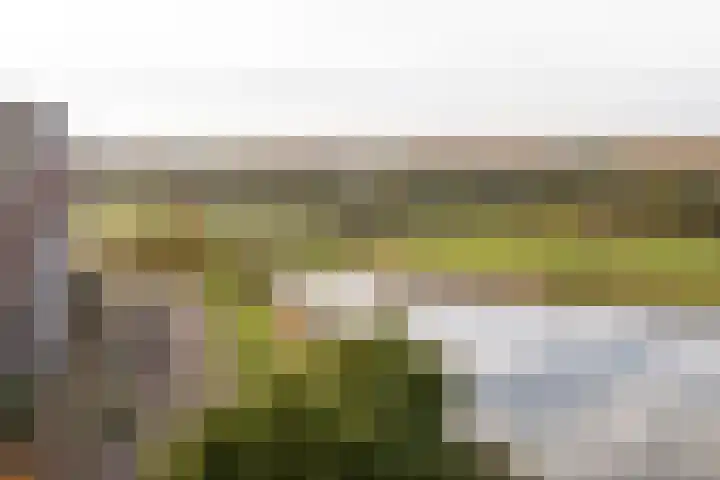 Dassenburcht 28 Vleuten thumbnail 40
