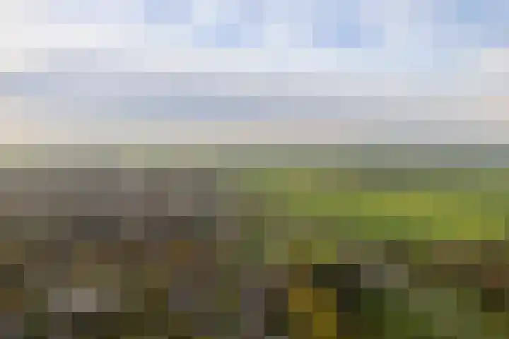 Dassenburcht 28 Vleuten thumbnail 42