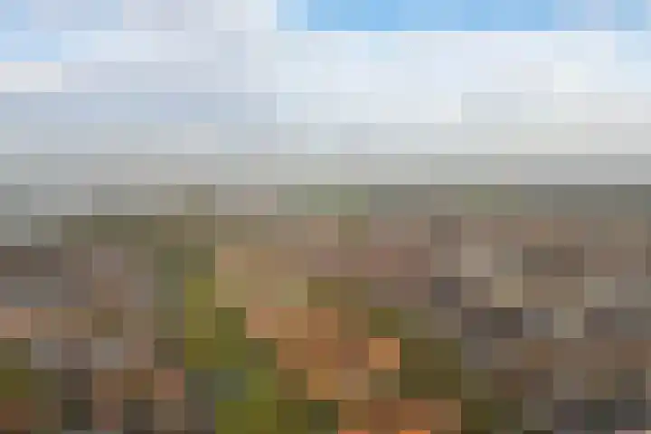 Dassenburcht 28 Vleuten thumbnail 43