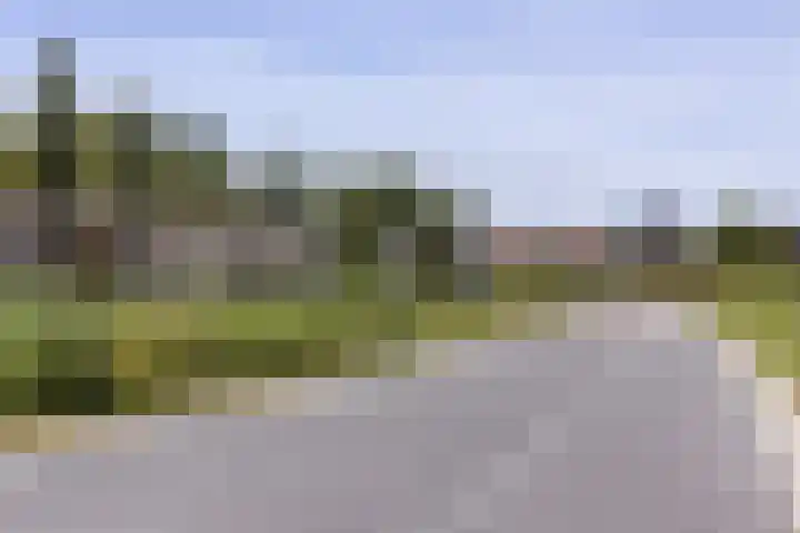 Dassenburcht 28 Vleuten thumbnail 50