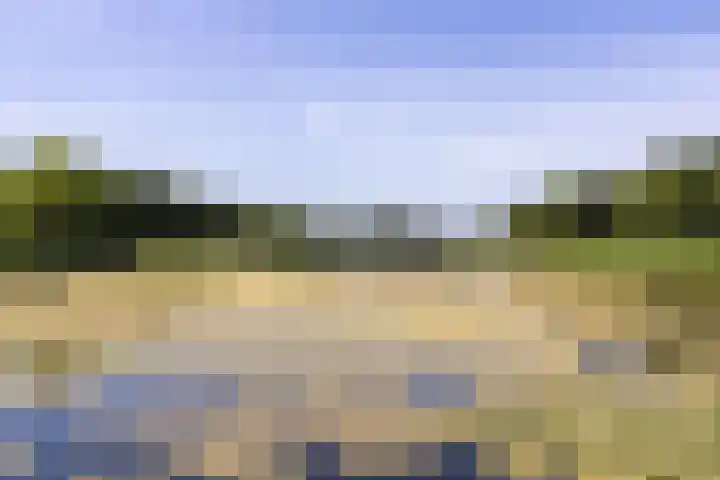 Dassenburcht 28 Vleuten thumbnail 51