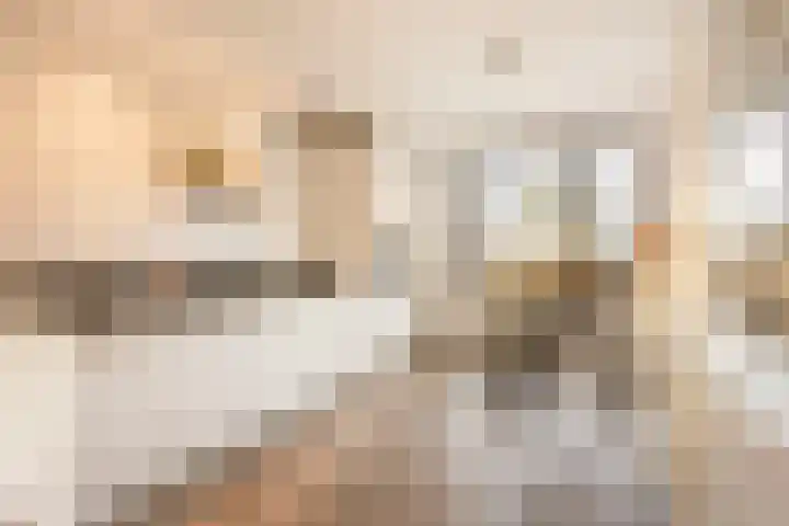 Dassenburcht 28 Vleuten thumbnail 7