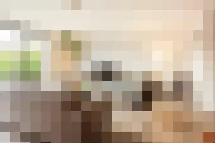 Dassenburcht 28 Vleuten thumbnail 9