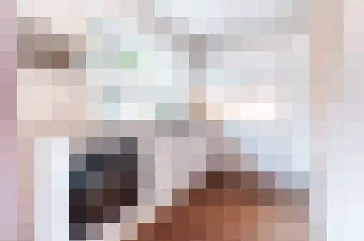 Dassenburcht 3 't Harde thumbnail 15