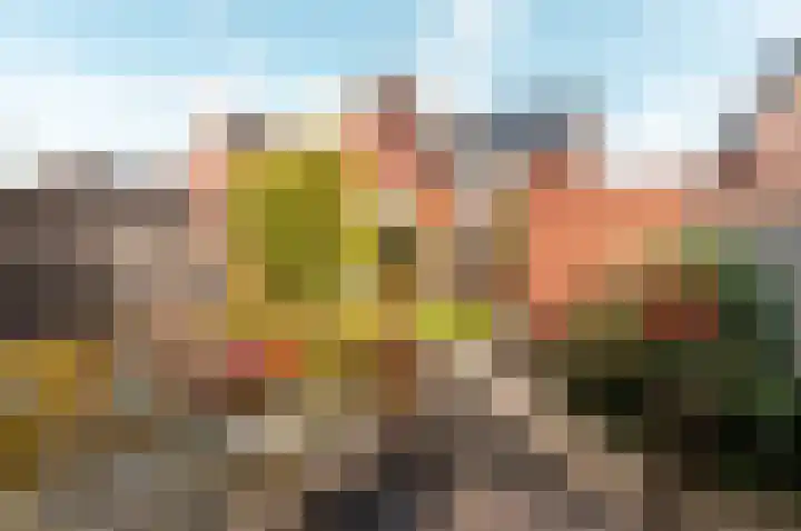 Dassenburcht 3 't Harde foto 2