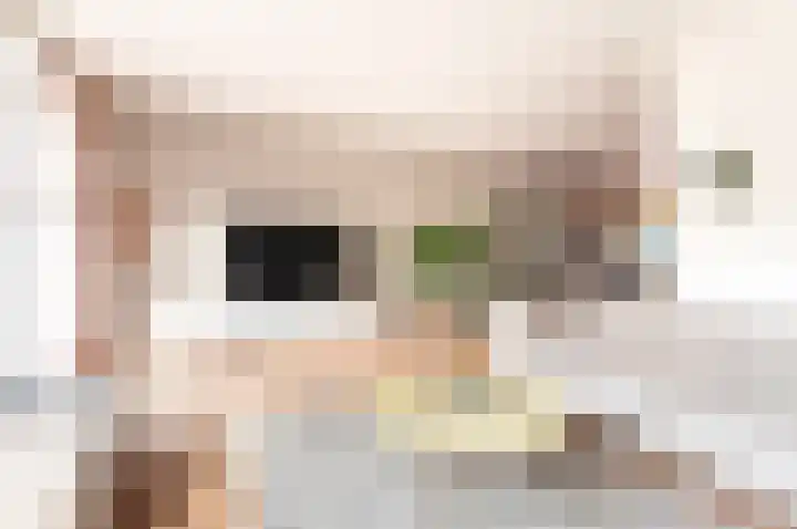 Dassenburcht 3 't Harde foto 3