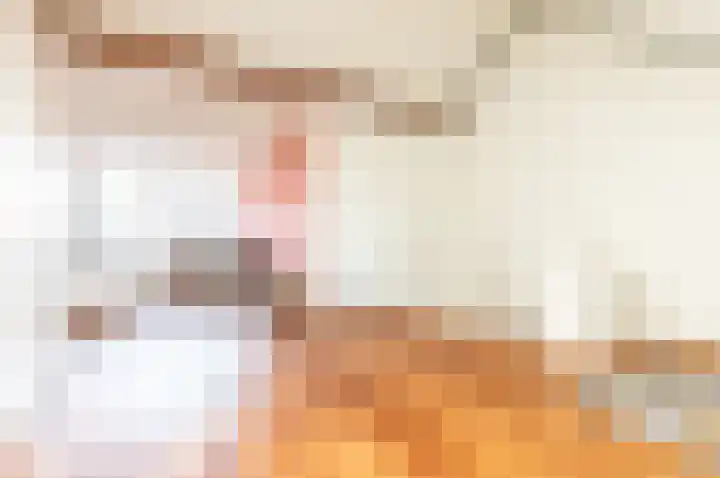 Dassenburcht 3 't Harde thumbnail 31