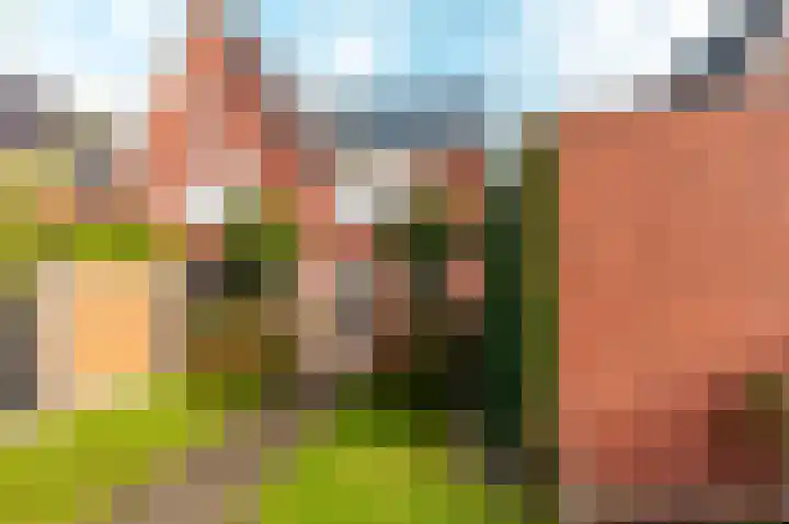 Dassenburcht 3 't Harde thumbnail 34