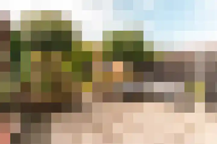 Dassenburcht 3 't Harde thumbnail 35