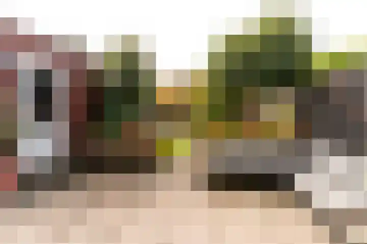 Dassenburcht 3 't Harde thumbnail 36