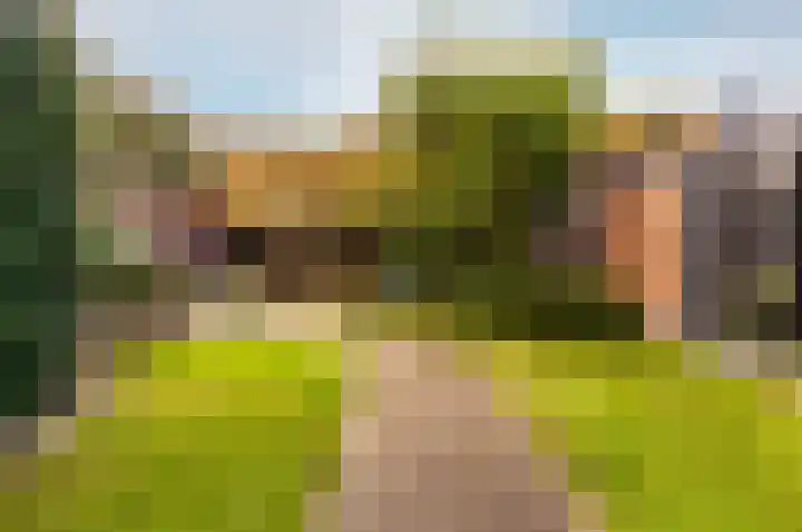 Dassenburcht 3 't Harde thumbnail 37