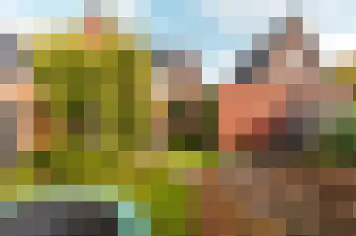 Dassenburcht 3 't Harde thumbnail 38