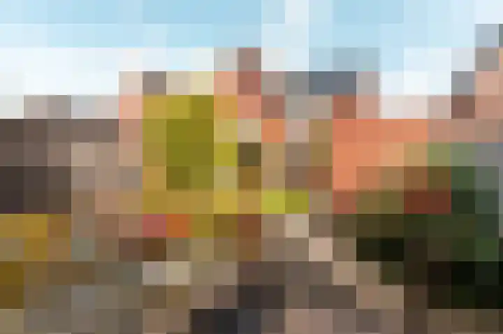 Dassenburcht 3 't Harde thumbnail 39