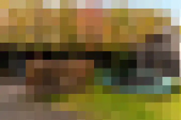 Dassenburcht 3 't Harde thumbnail 40