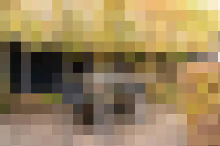 Dassenburcht 3 't Harde thumbnail 41