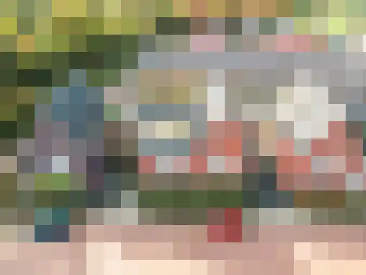 Dassenburcht 3 't Harde thumbnail 42