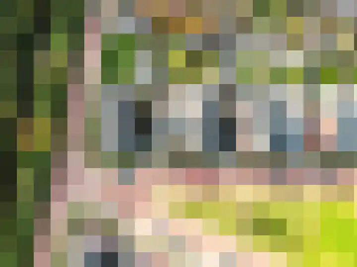 Dassenburcht 3 't Harde thumbnail 43