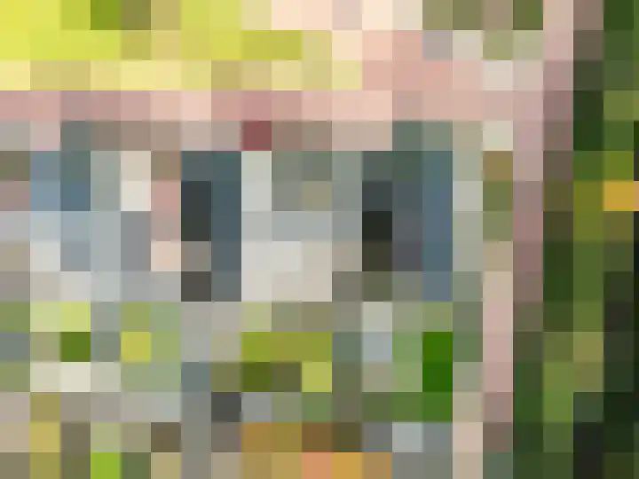 Dassenburcht 3 't Harde thumbnail 44