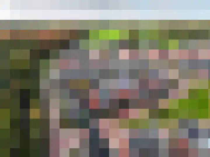 Dassenburcht 3 't Harde thumbnail 45